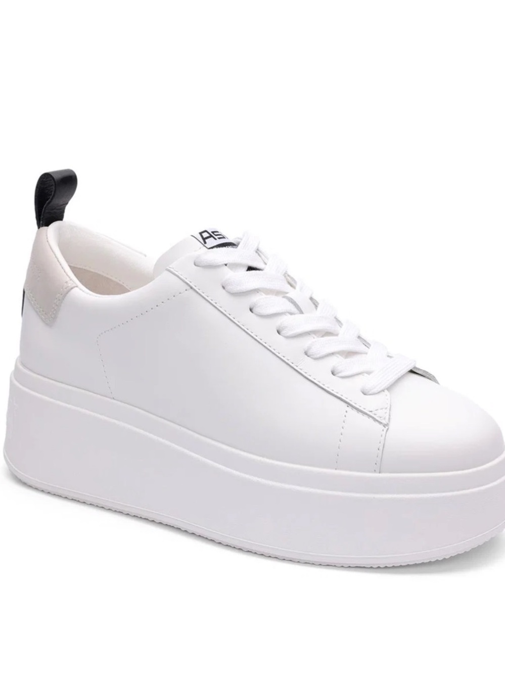 Ash Sneakers
